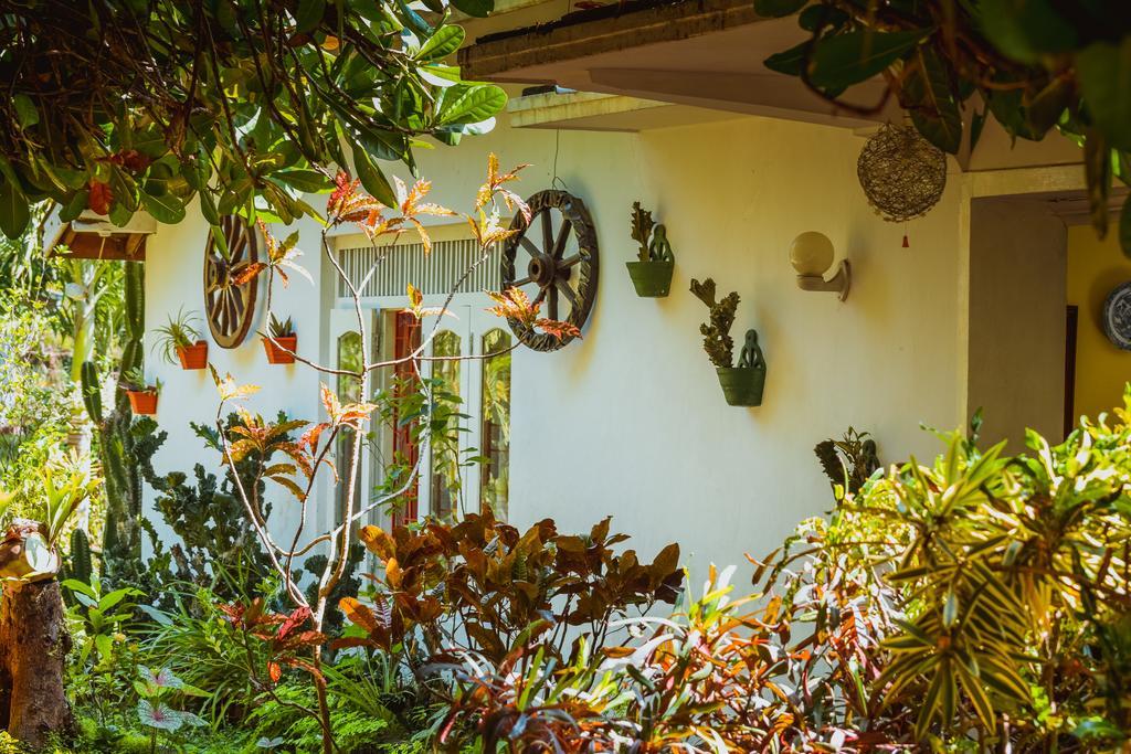 Shammie Guest House ฮิกคาดูวา ภายนอก รูปภาพ
