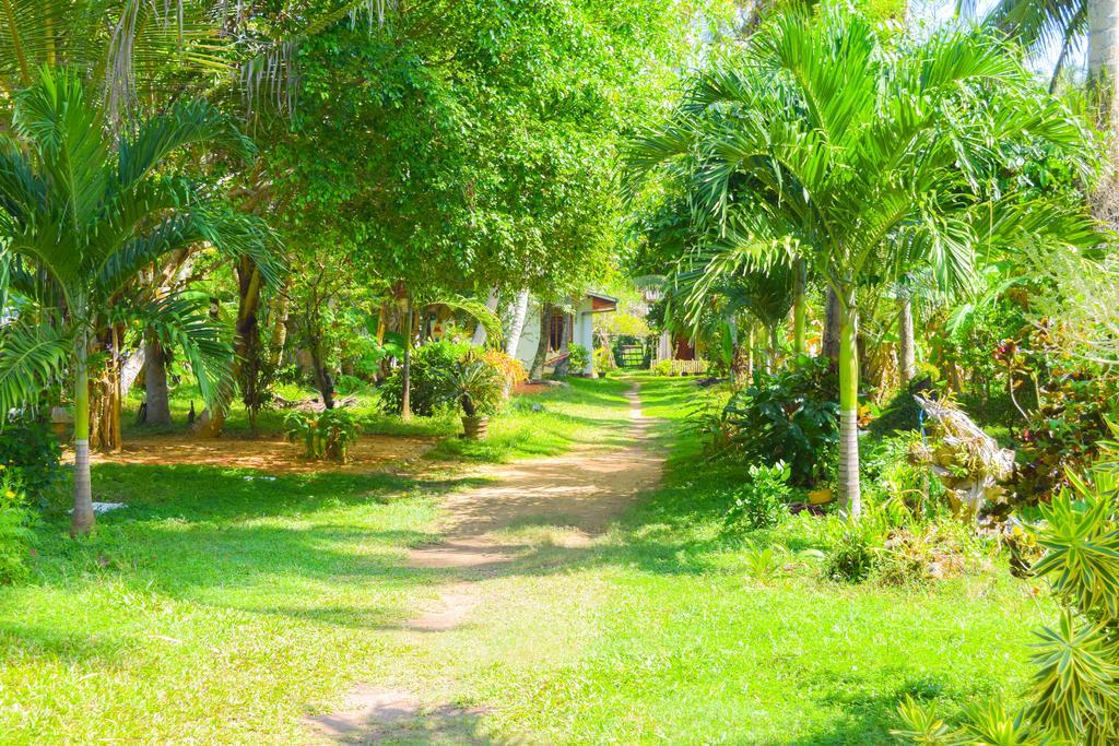 Shammie Guest House ฮิกคาดูวา ภายนอก รูปภาพ